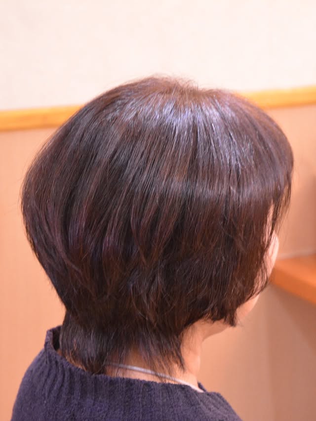 ギャラリー 1